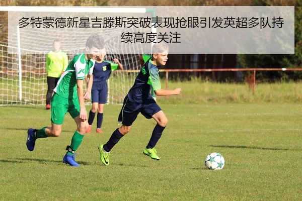 img_1780612678849_285_1_533.jpg